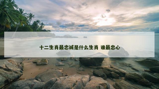 十二生肖最忠诚是什么生肖 谁最忠心