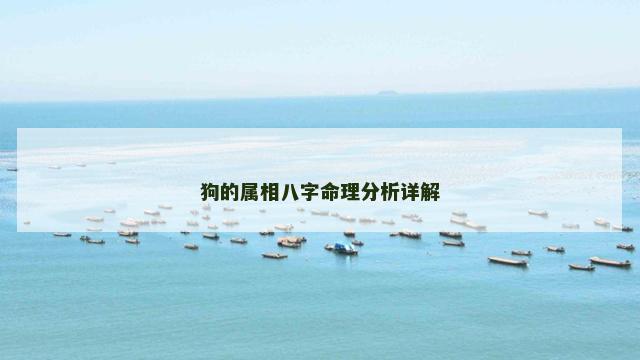 狗的属相八字命理分析详解