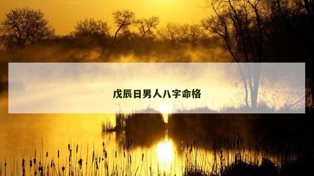 戊辰日男人八字命格