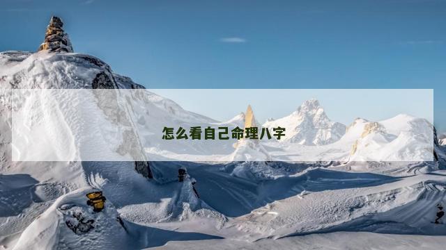 怎么看自己命理八字