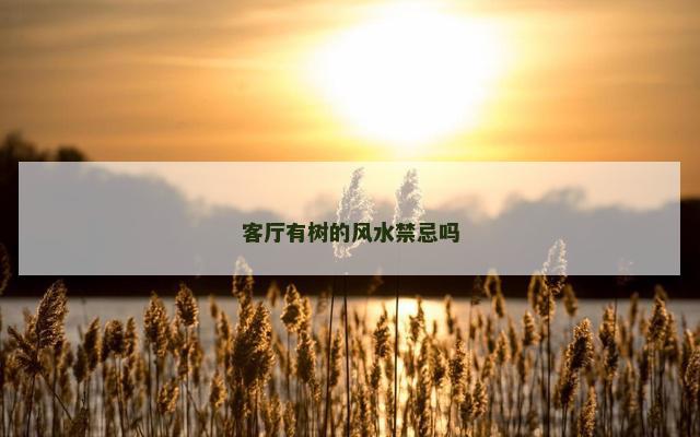 客厅有树的风水禁忌吗