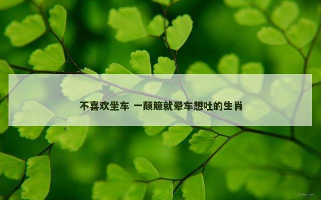 不喜欢坐车 一颠簸就晕车想吐的生肖