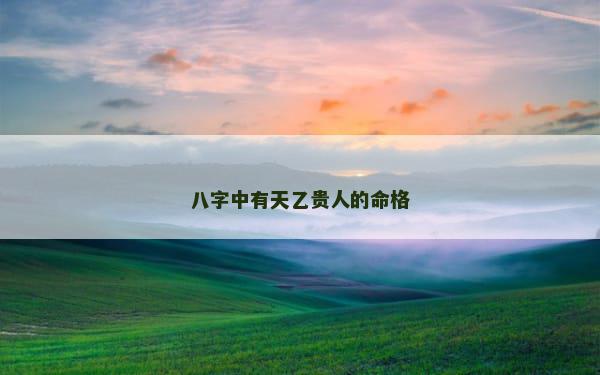 八字中有天乙贵人的命格