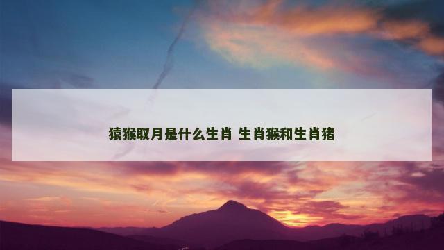 猿猴取月是什么生肖 生肖猴和生肖猪