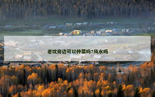 老坟旁边可以种菜吗?风水吗