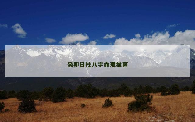 癸卯日柱八字命理推算