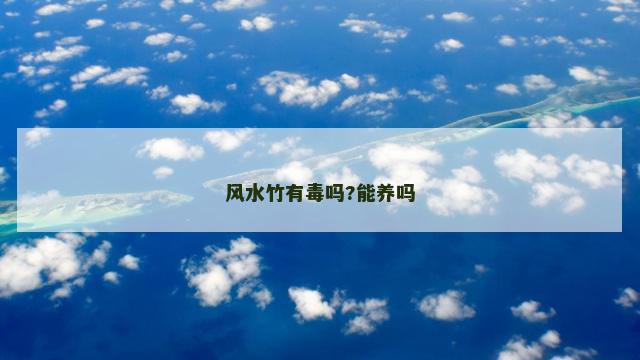 风水竹有毒吗?能养吗