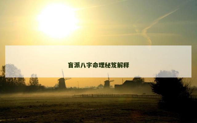 盲派八字命理秘笈解释
