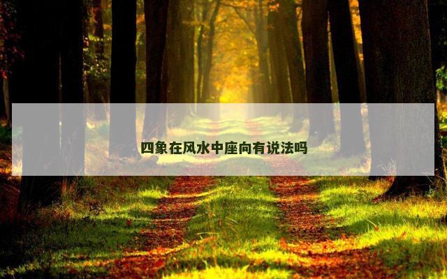 四象在风水中座向有说法吗