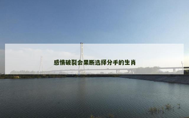 感情破裂会果断选择分手的生肖
