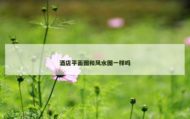 酒店平面图和风水图一样吗