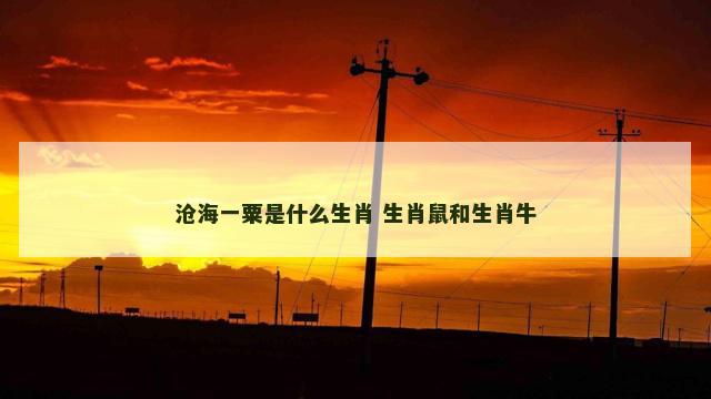 沧海一粟是什么生肖 生肖鼠和生肖牛