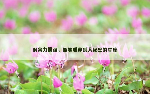 洞察力最强，能够看穿别人秘密的星座