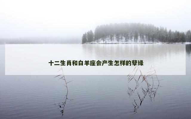 十二生肖和白羊座会产生怎样的孽缘