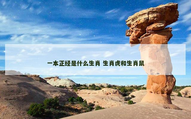 一本正经是什么生肖 生肖虎和生肖鼠