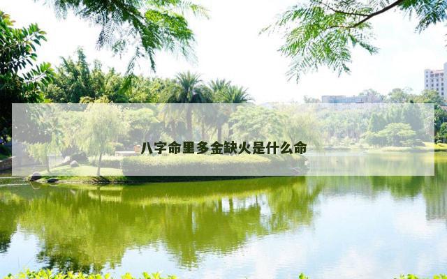 八字命里多金缺火是什么命