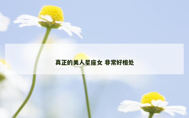 真正的美人星座女 非常好相处