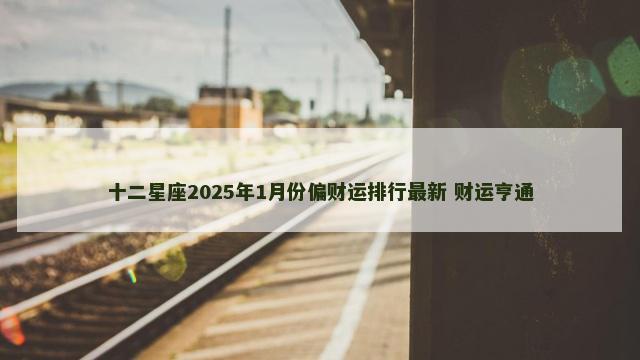 十二星座2025年1月份偏财运排行最新 财运亨通