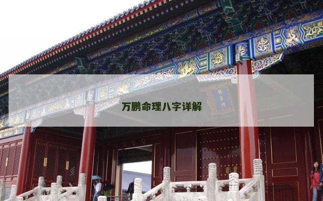 万鹏命理八字详解
