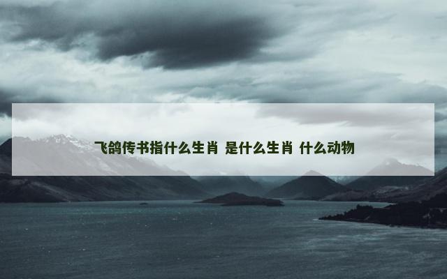 飞鸽传书指什么生肖 是什么生肖 什么动物