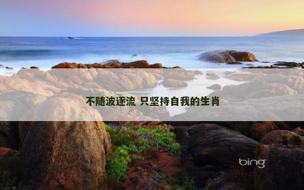 不随波逐流 只坚持自我的生肖