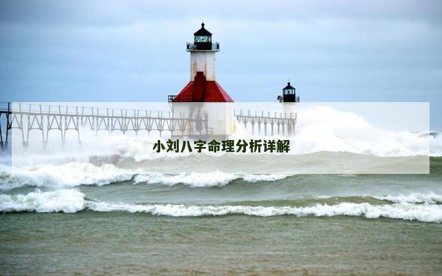 小刘八字命理分析详解