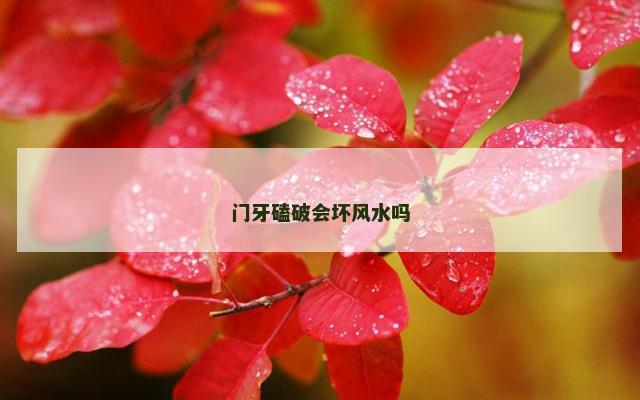 门牙磕破会坏风水吗