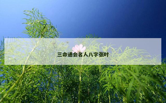 三命通会名人八字张时