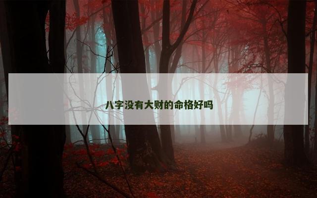 八字没有大财的命格好吗