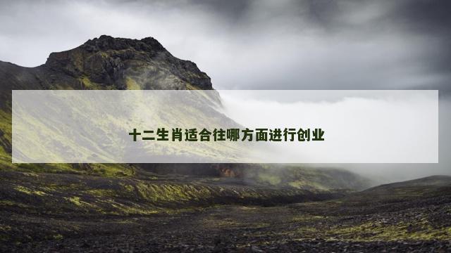 十二生肖适合往哪方面进行创业