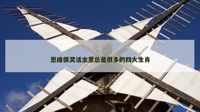 思维很灵活主意总是很多的四大生肖