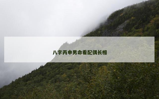 八字丙申男命看配偶长相