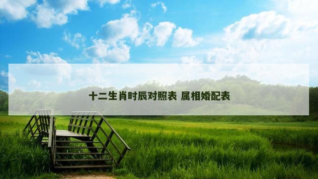 十二生肖时辰对照表 属相婚配表