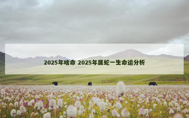 2025年啥命 2025年属蛇一生命运分析
