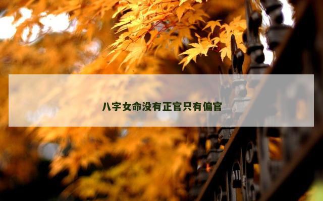 八字女命没有正官只有偏官