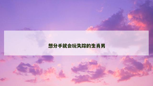 想分手就会玩失踪的生肖男