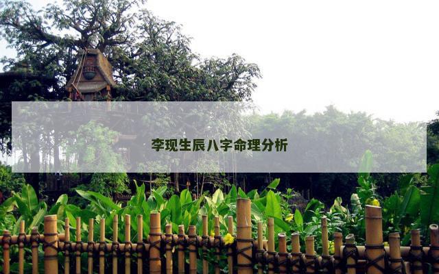 李现生辰八字命理分析