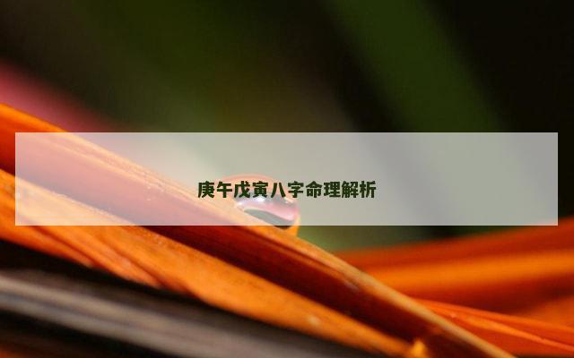 庚午戊寅八字命理解析