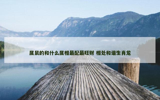 属鼠的和什么属相最配最旺财 相处和谐生肖龙