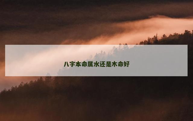 八字本命属水还是木命好