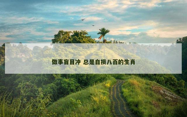 做事盲目冲 总是自损八百的生肖