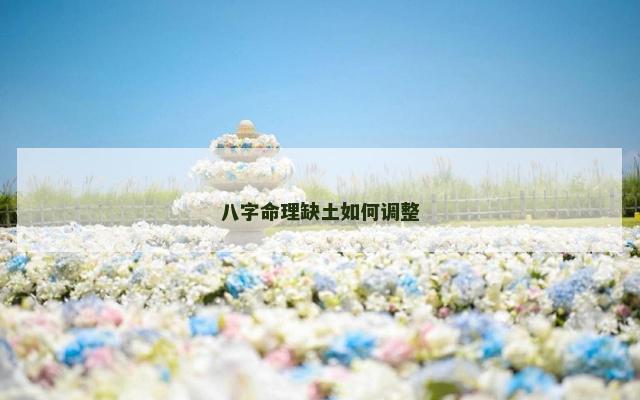 八字命理缺土如何调整