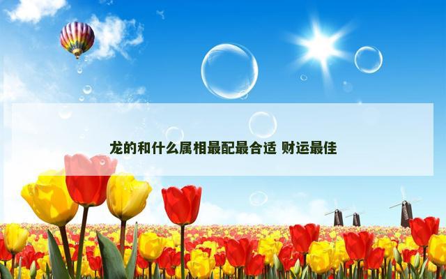 龙的和什么属相最配最合适 财运最佳
