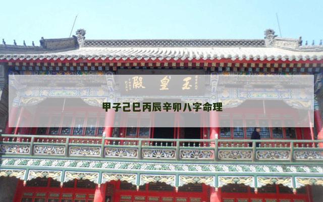 甲子己巳丙辰辛卯八字命理