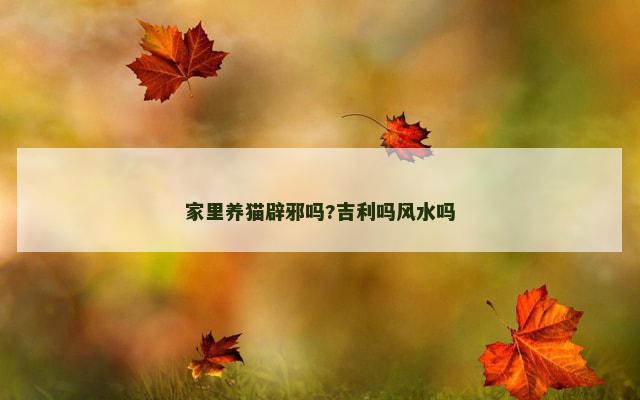 家里养猫辟邪吗?吉利吗风水吗