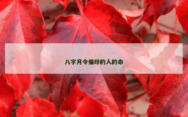 八字月令偏印的人的命