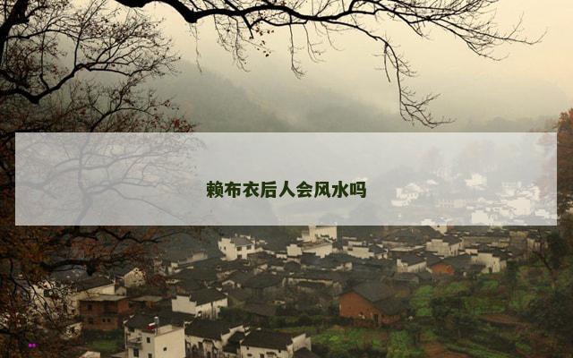 赖布衣后人会风水吗
