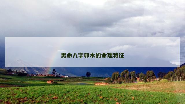 男命八字卯木的命理特征