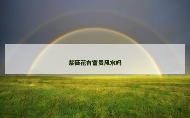 紫薇花有富贵风水吗