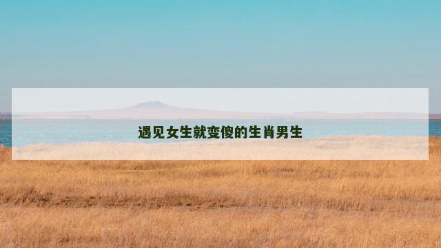 遇见女生就变傻的生肖男生